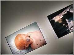 galerie.froggydelight.com Ganihar