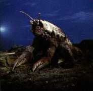 godzilla.stopklatka.pl Ganime