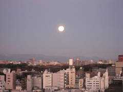 club-willbe.jp Gantana