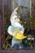 picture-newsletter.com Gardengnome
