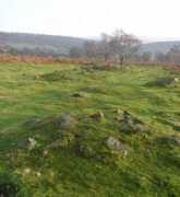 themodernantiquarian.com Gardom