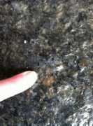 woostergeologists.scotblogs.wooster.edu Gardzina