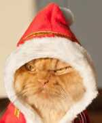 jjb.yuku.com Garfi