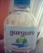 Gargaro