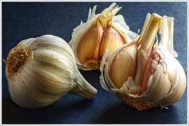 graphix1.co.uk Garlic