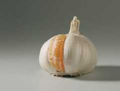 thedesigninspiration.com Garlic
