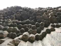odditycentral.com Garni