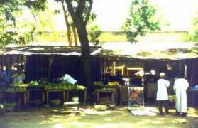 Garoua