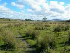 geograph.org.uk Garpel