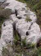 Garraf