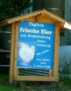 vgt-ch.org Gasel