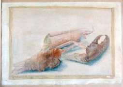 velly.org Homard