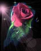 Homaun