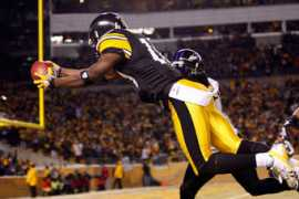 behindthesteelcurtain.com Homles