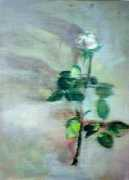 dianeandjohn.com Homoeopathy