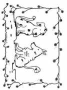nukleuren.nl Honden