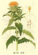 newdruginfo.com Honghua