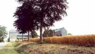 baladeetculture.be Hontoir