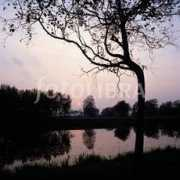 Hoogstede