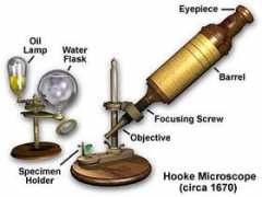 micro.magnet.fsu.edu Hooke