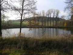 Horka