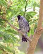 panoramio.com Hormiguera