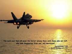 w4zt.com Hornet