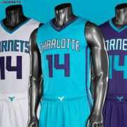 thesource.com Hornets
