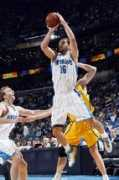 funscrape.com Hornets