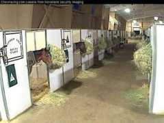 horselandsecurity.com Horseland
