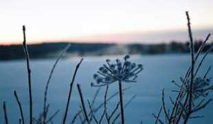 apmaths.uwo.ca Horsma