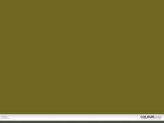 colourlovers.com Hortela