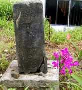 Hoshino