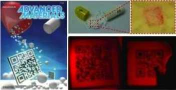 binelx.snu.ac.kr Hosuk