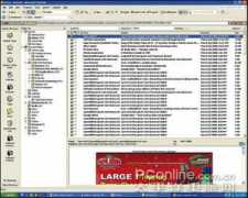 pconline.com.cn Hotmail