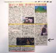 iedanoriko.com Houci