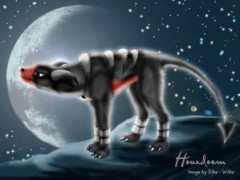 poke-amph.com Houndoom