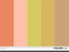 colourlovers.com Hozy