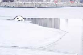 an-gry.livejournal.com Hrq