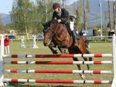 equichannel.cz Hruzek