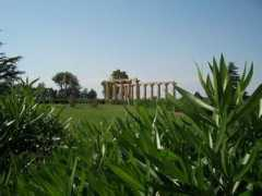 panoramio.com Hsw