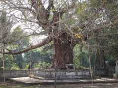panoramio.com Htain