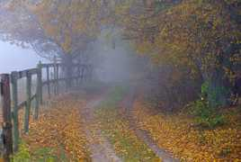 wiadomosci.wp.pl Hubson