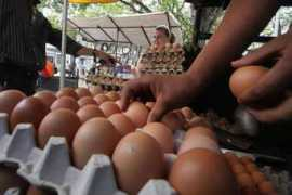 Huevos