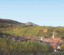 terroir-france.com Hugel