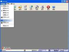 codesky.net Hugeng
