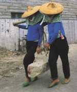 chinavista.com Huian