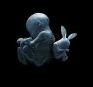 blog.piccsy.com Hulle
