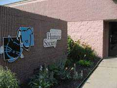 blog.eigotown.com Humanesociety