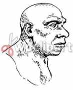 wpclipart.com Humanoid